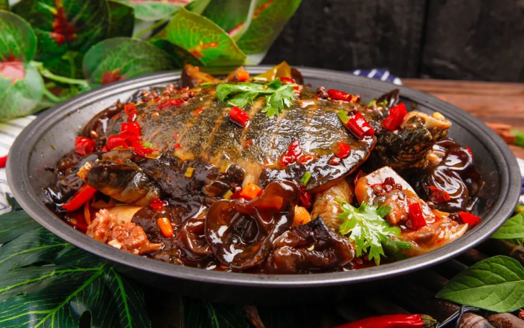 麻辣甲魚開店成功！(圖1)