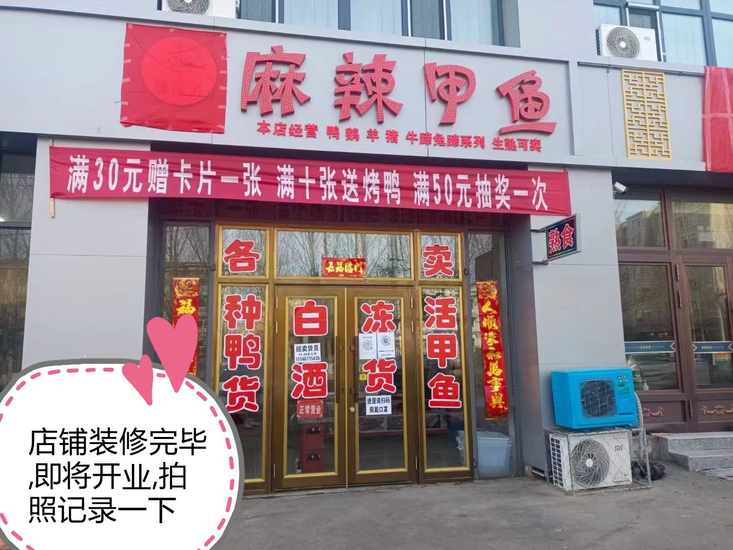 麻辣甲魚開店成功！(圖2)