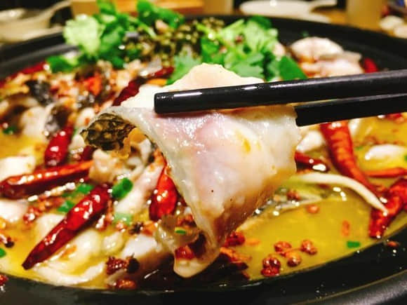 火鍋魚大揭秘：這幾種魚讓你的火鍋店生意火爆！(圖1)